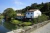 Puente del Pilar Asturias