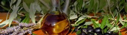 LA GUA DE LOS ESTABLECIMIENTOS QUE COCINAN EN VERDE