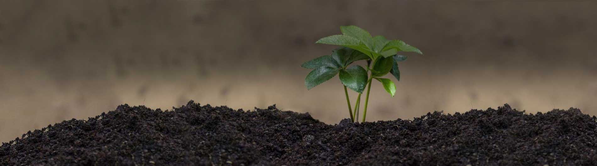 Planeta Azul Planeta Azul